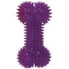 Master Paws® Medium Squeaker Bone Dog Toy - Assorted -MASTER PAWS Shop 2530626 70205 Purple 2