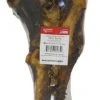 Master Paws® Dino Bone Dog Chew 2 Master Paws® Dino Bone Dog Chew -MASTER PAWS Shop 2531872