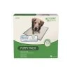 Master Paws™ Puppy Training Pads - 100 Ct