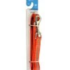 Master Paws® 5' Orange Reflective Adjustable Nylon Dog Leash - Medium -MASTER PAWS Shop 2533284