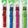 Master Paws® Adjustable Small Nylon Dog Collar - Assorted Colors -MASTER PAWS Shop 2533316 SM Col Slip