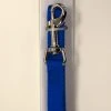 Master Paws® 5' Blue Nylon Dog Leash - Medium