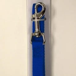 Master Paws® 5' Blue Nylon Dog Leash - Medium