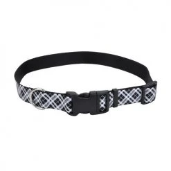 Master Paws® Black & White Reflective Adjustable Dog Collar - Small