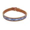 Master Paws® Tan & Blue Leather Window Dog Collar - 18" X 1" -MASTER PAWS Shop 2533830 P SF