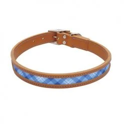 Master Paws® Tan & Blue Leather Window Dog Collar - 18" X 1"