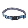 Master Paws® Blue Paw & Bone Adjustable Nylon Dog Collar - Medium -MASTER PAWS Shop 2533831