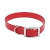 Master Paws® Red Waterproof Dog Collar - Small -MASTER PAWS Shop 2533833