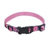 Master Paws® Pink Flower Adjustable Nylon Dog Collar - Small -MASTER PAWS Shop 2533843