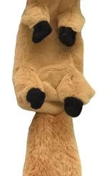 Master Paws® Stuffed Head & Stuffing Free Body Dog Toy - Assorted -MASTER PAWS Shop 2538195 master4