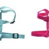 Master Paws® Medium Adjusable Nylon Dog Harness - Assorted Colors 1 Master Paws® Medium Adjusable Nylon Dog Harness - Assorted Colors -MASTER PAWS Shop 48224EA2533406