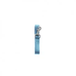 Master Paws® 1" X 5' Sky Blue Nylon Dog Leash