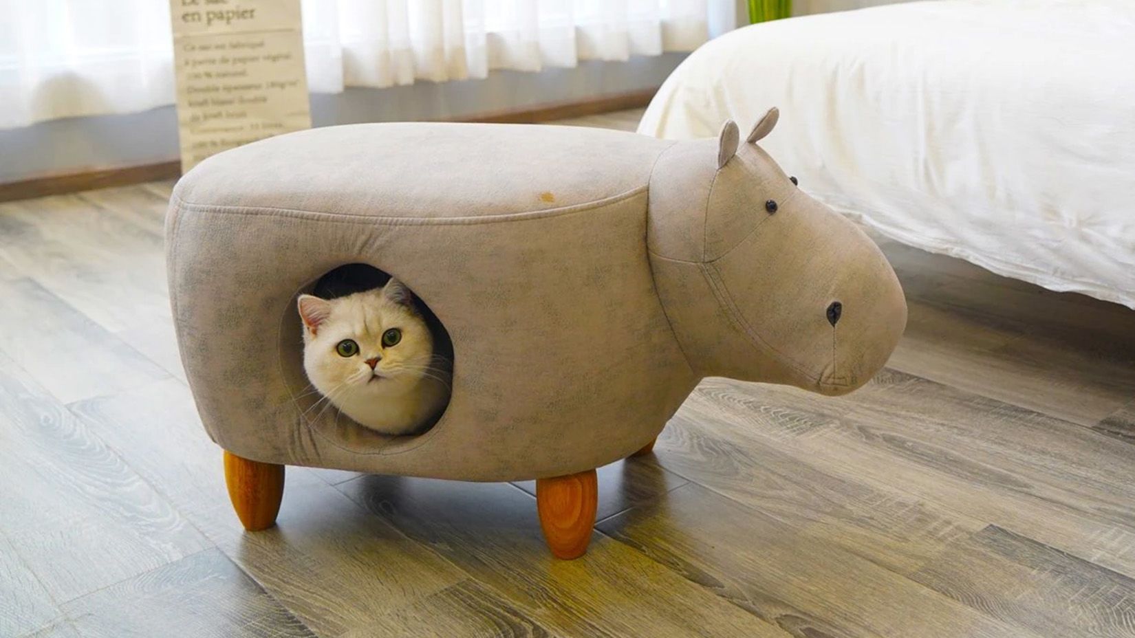 Master Paws Sales Store 9 Master Paws Sales Store -MASTER PAWS Shop 3436